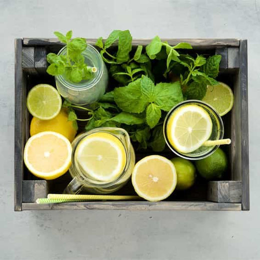 Lemonana, das beste Low-Carb Erfrischungsgetränk