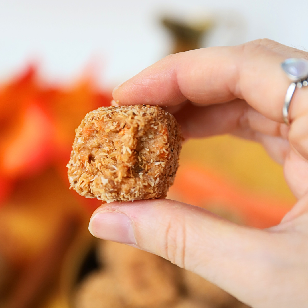 Low-Carb Karotten-Kokos-Bällchen