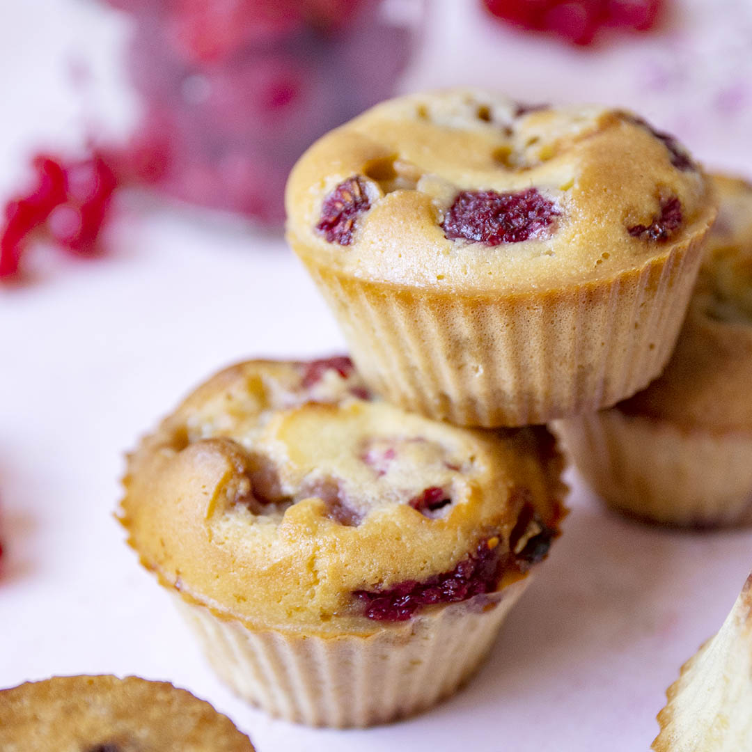 Low-Carb & Keto Himbeer Muffins mit weißer Schokolade