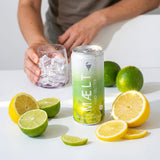 Hard Seltzer | Limette-Sizilianische Zitrone