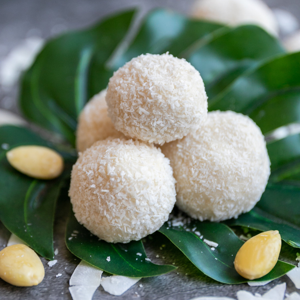 Low-Carb & Keto Kokos-Mandel-Protein-Kugeln