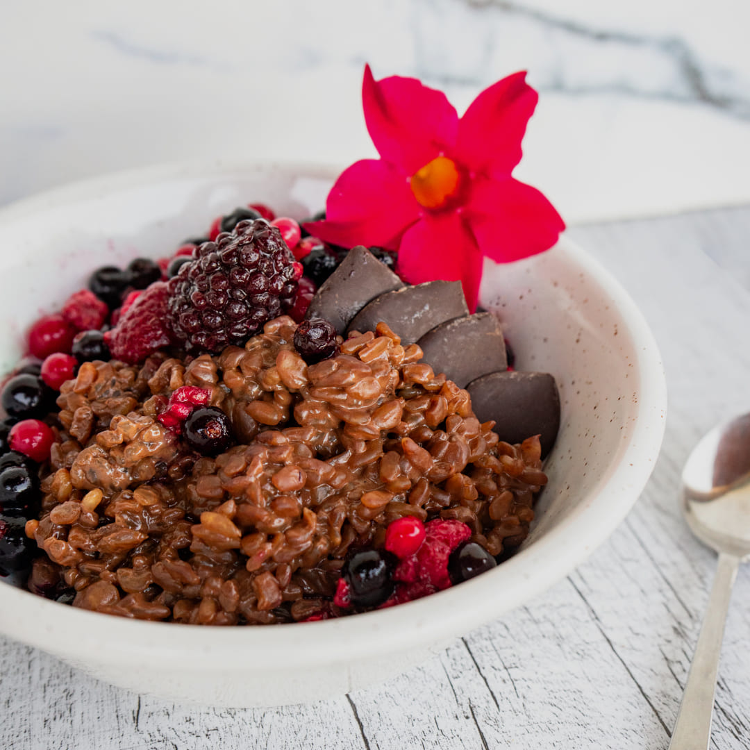 Low-Carb & Keto Schoko-Milchreis